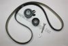 AUTOMEGA 1066060029 Timing Belt Kit